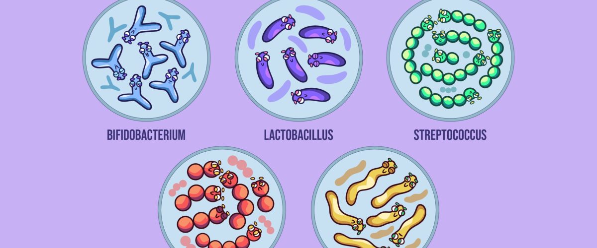 9233503 Probióticos e doenças hepáticas