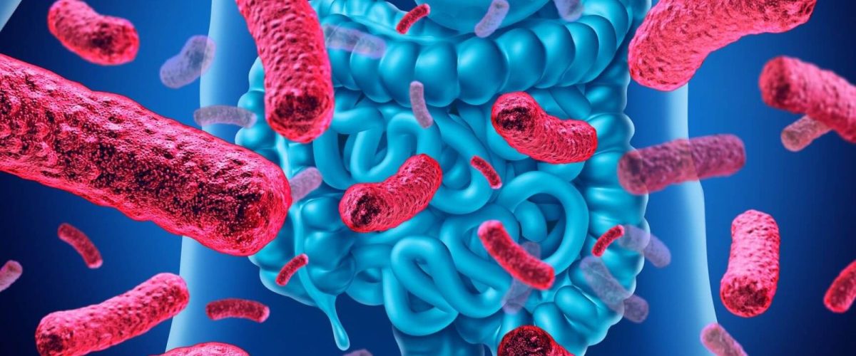 supercrescimento bacteriano