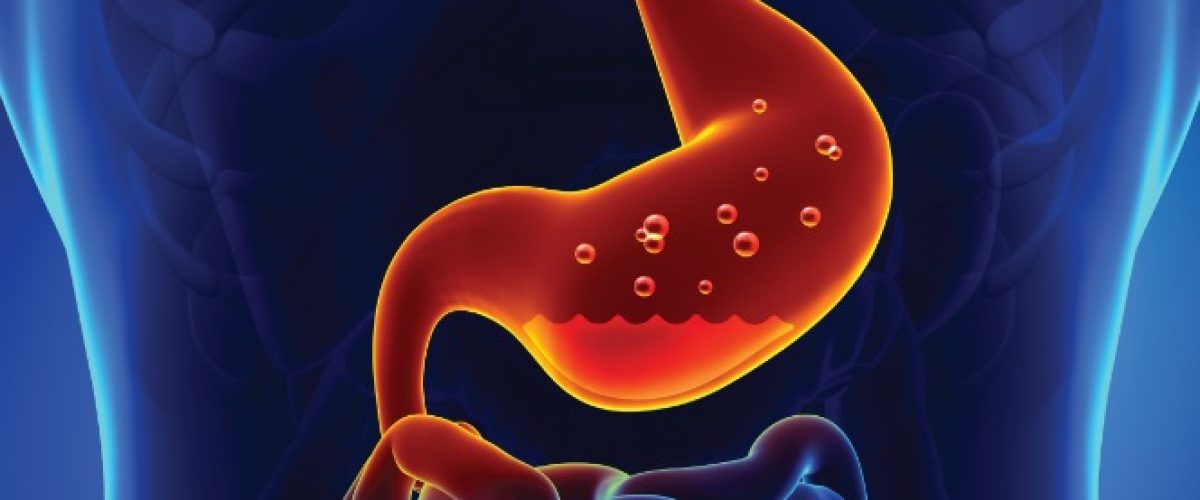 WhatsApp Image 2025-10-30 at 17.19.04