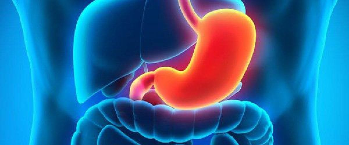 photo-1-1490954891133-0-0-538-1024-crop-1490954971513-1491099413180