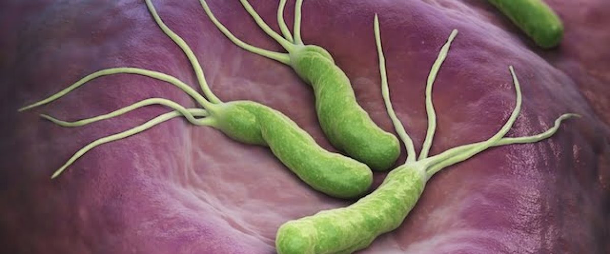 post 3 – hpylori post 3 - hpylori